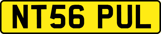 NT56PUL
