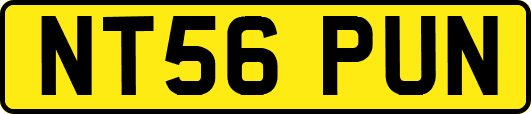 NT56PUN