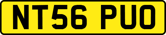 NT56PUO