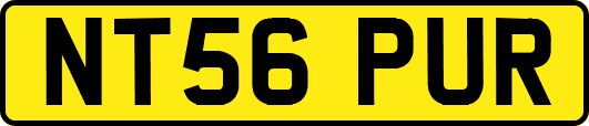 NT56PUR
