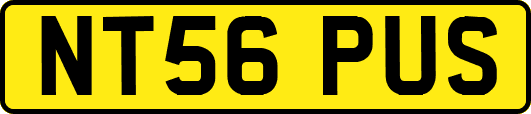 NT56PUS