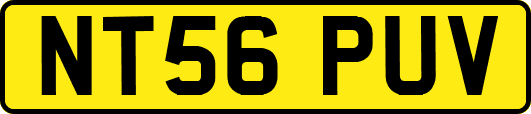 NT56PUV