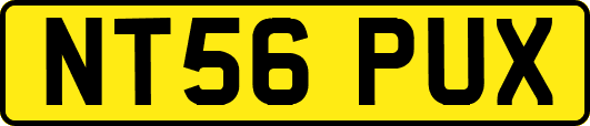 NT56PUX