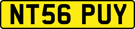 NT56PUY
