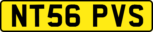 NT56PVS