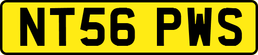 NT56PWS
