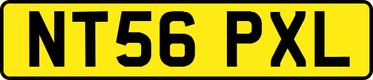 NT56PXL