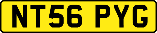 NT56PYG