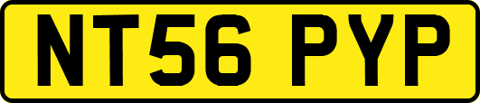NT56PYP