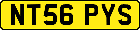 NT56PYS