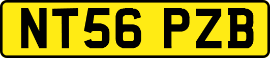 NT56PZB