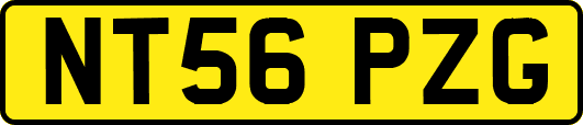 NT56PZG