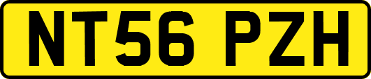 NT56PZH