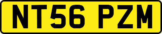 NT56PZM