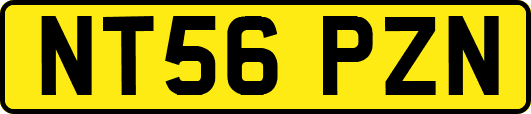 NT56PZN