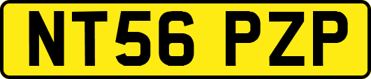 NT56PZP