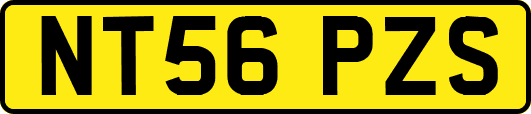 NT56PZS