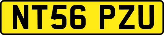 NT56PZU