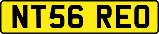 NT56REO