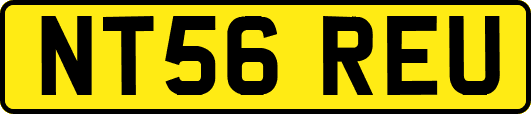 NT56REU