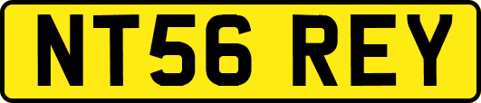 NT56REY