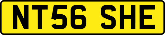 NT56SHE
