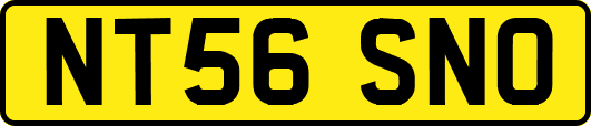 NT56SNO