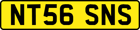 NT56SNS