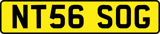NT56SOG