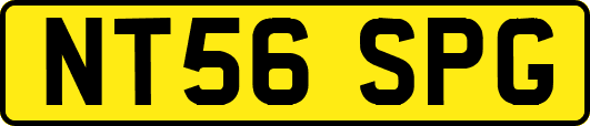 NT56SPG