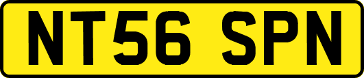 NT56SPN