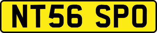 NT56SPO