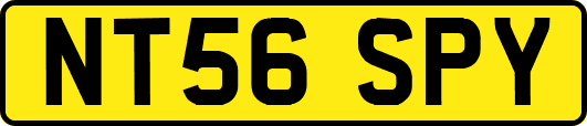 NT56SPY
