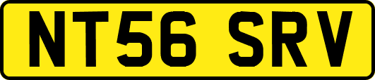 NT56SRV