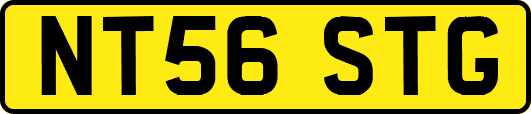 NT56STG