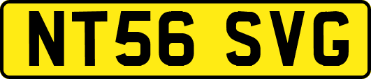NT56SVG