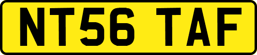 NT56TAF