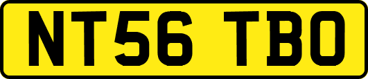 NT56TBO