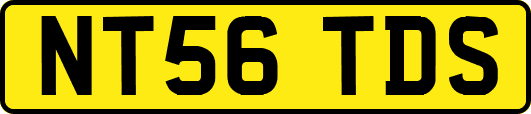 NT56TDS