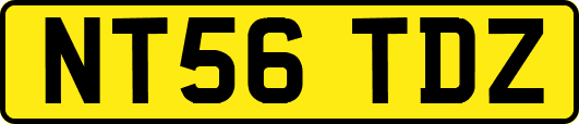 NT56TDZ