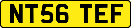 NT56TEF
