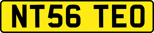 NT56TEO
