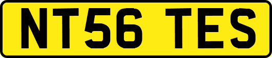 NT56TES