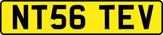 NT56TEV