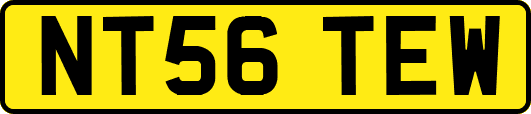 NT56TEW