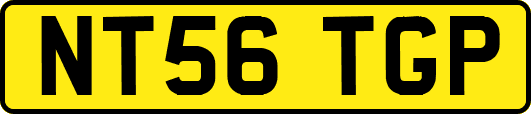 NT56TGP