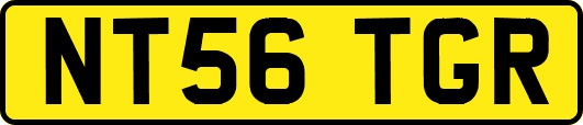 NT56TGR