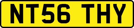 NT56THY
