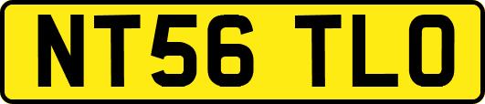 NT56TLO