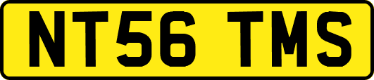 NT56TMS